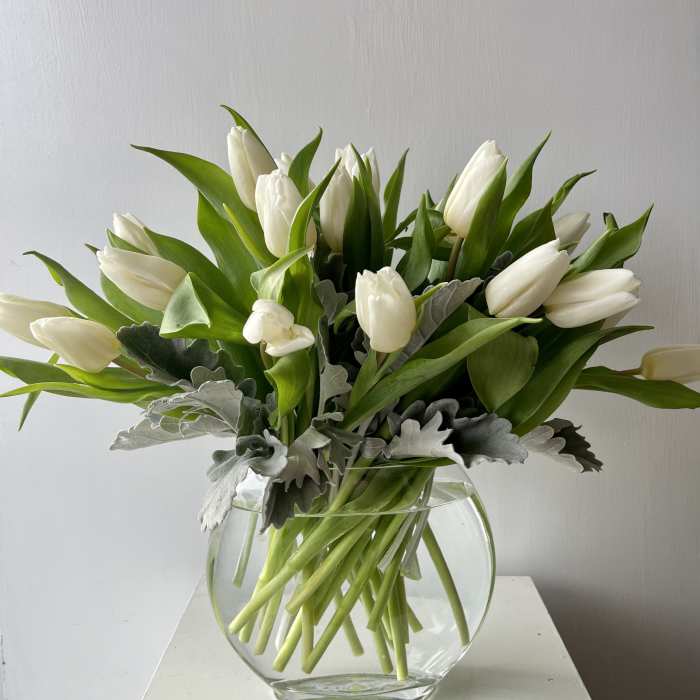 White Tulip Elegance