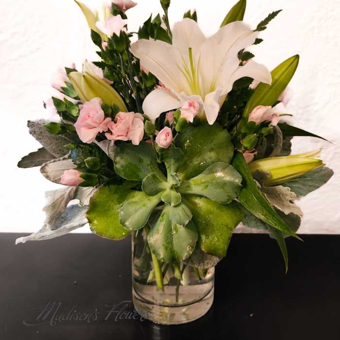 'Soft Cherish' by Madison's Flowers