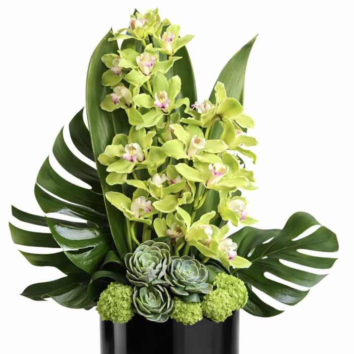 Green orchid arrangement in a black vase with succulents