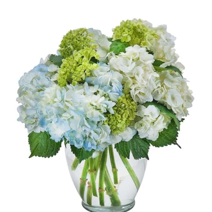 Blue and white hydrangea bouquet in a clear glass vase