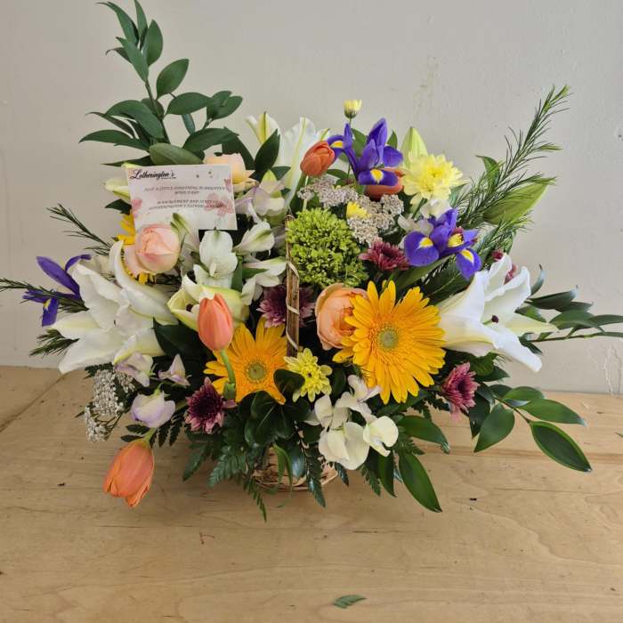 Bright Morning by Lotherington's