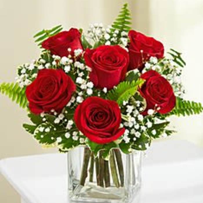 Red roses arranged in a clear glass vase with baby's breath