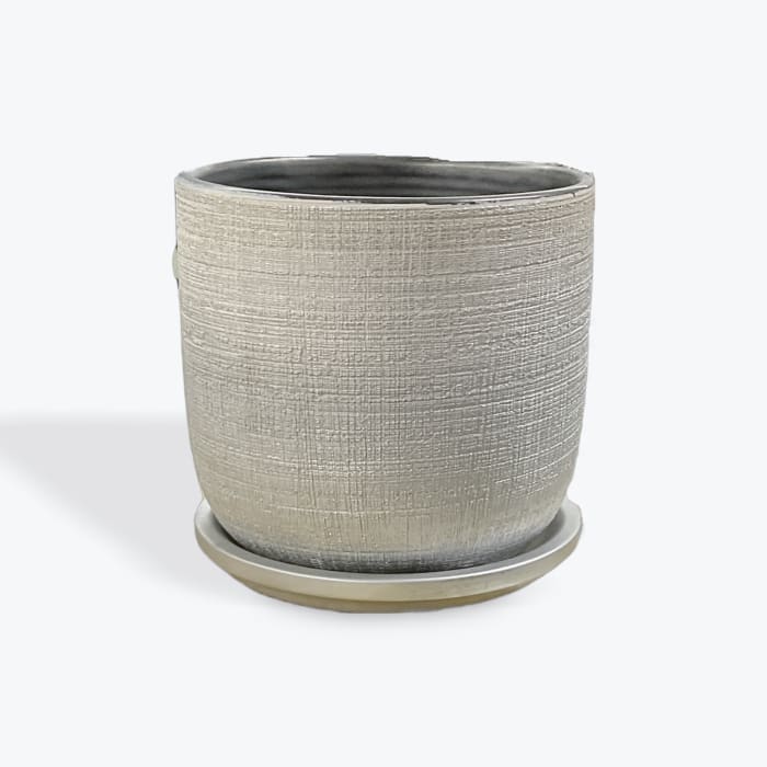 Textured beige ceramic plant pot with a matching saucer