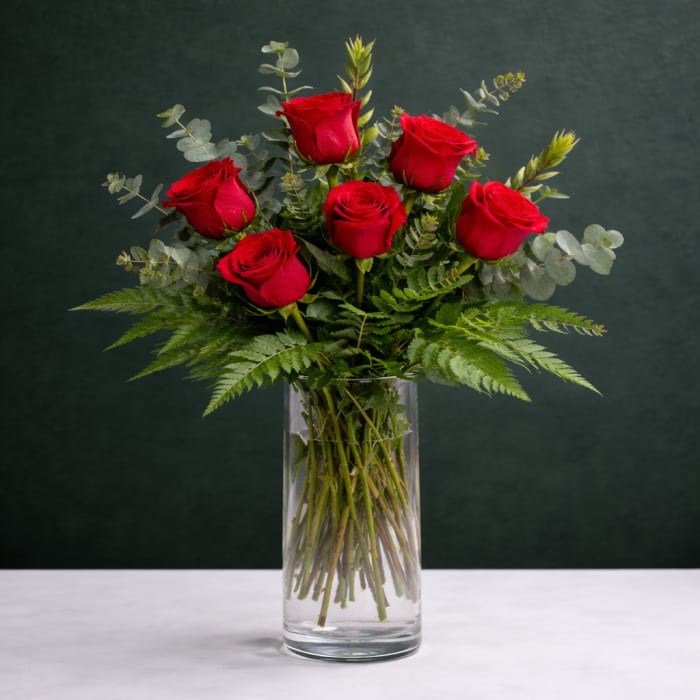 Half Dozen Red Roses