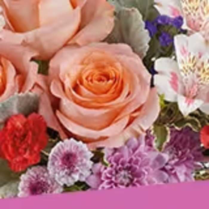 Sammy's Designers Choice