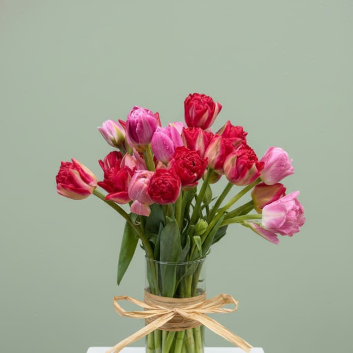 Toad Hill Tulips - Fairport, NY