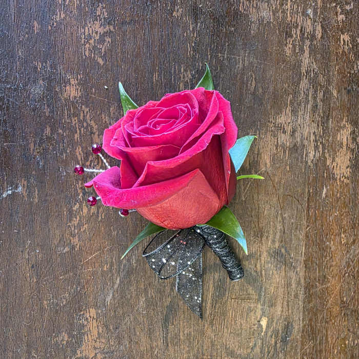 Single hot pink rose boutonniere with black ribbon