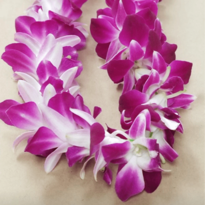 Single Orchid Lei