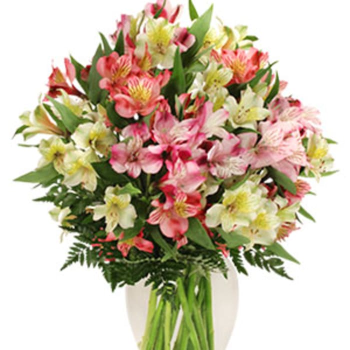 Bouquet of pink and white alstroemeria in a clear glass vase