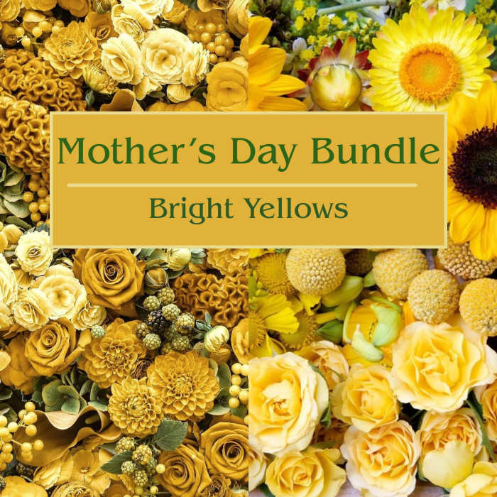Mother's Day Bundle - Bright Yellows
