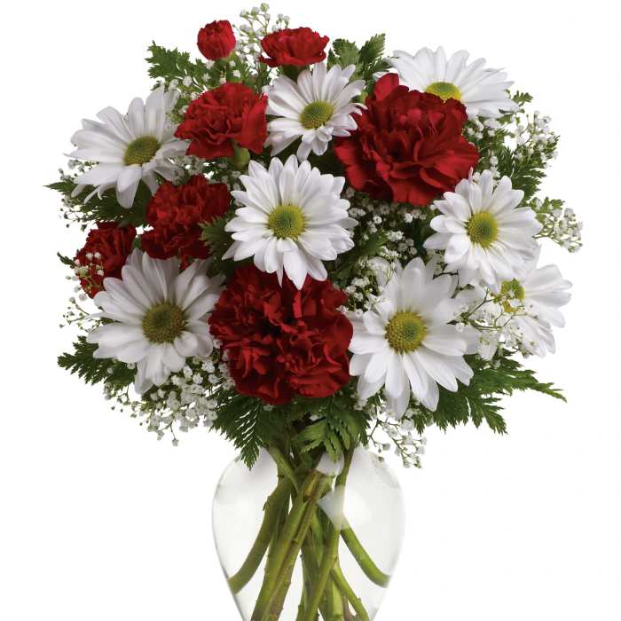 Mixed bouquet of red carnations and white daisies in a clear glass vase