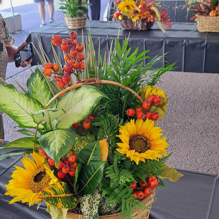 dishgarden with sunflowers