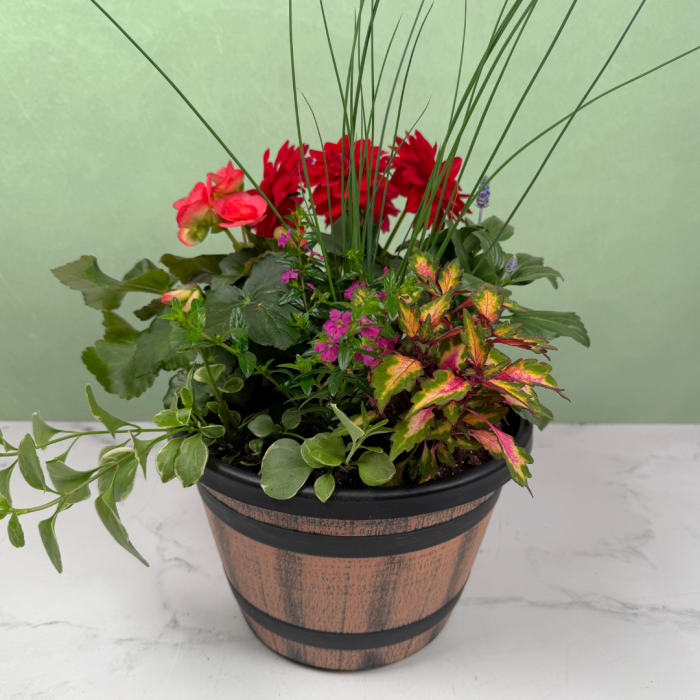 Outdoor Blooming Garden - Small