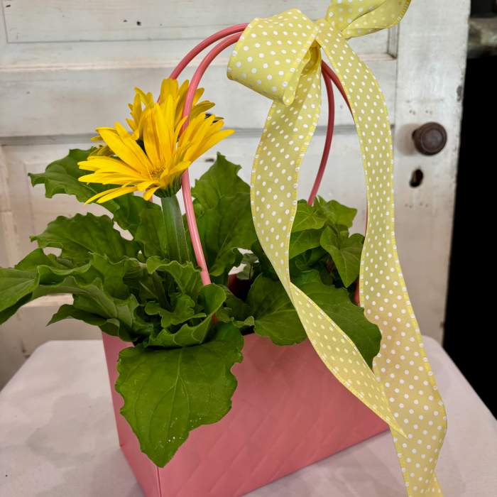 The Little Bloom Bag