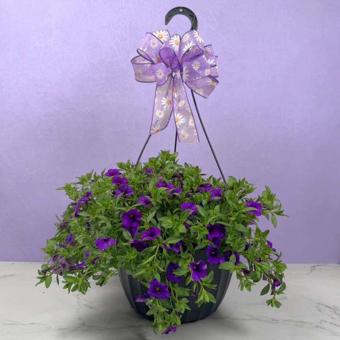 MAY DAY SALE - Million Bells Hanging Basket