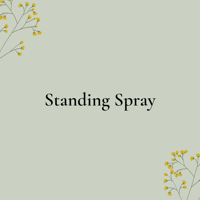 Text reading "Standing Spray" on a pale green background with small yellow floral corners.