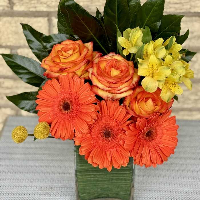 Orange roses and gerbera daisies in a square glass vase