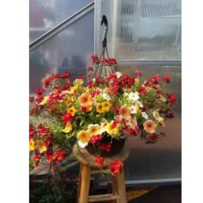 Hanging basket of red, yellow, white, and peach flowering plants displayed on a wooden stool.