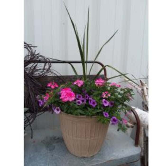 Tan planter with pink and purple flowering plants and tall green spikes arranged outdoors
