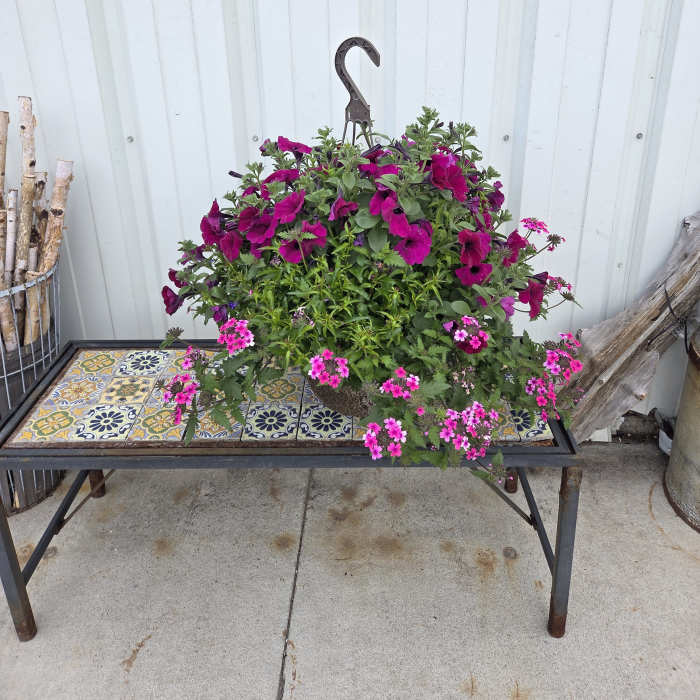 Greenhouse - Medium Hanging Plant Basket