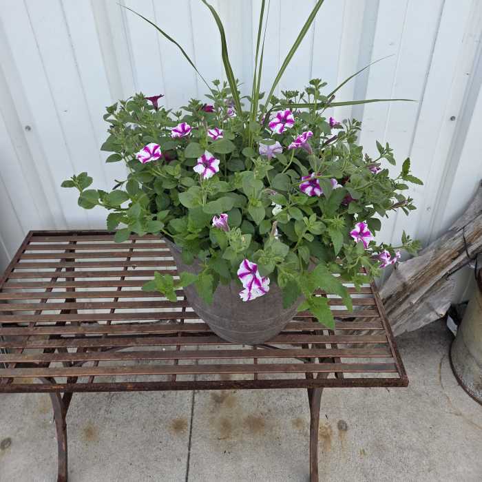 Greenhouse Decorative Planter