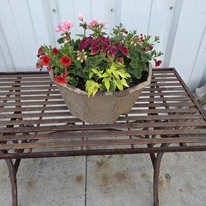 Greenhouse - Large Octagon Pulp Planter