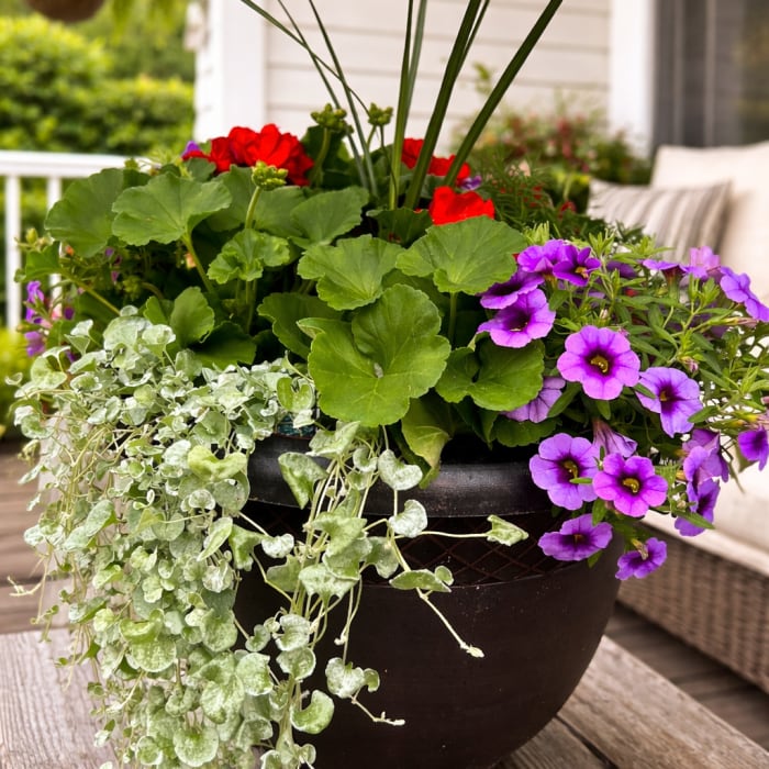 Summer Porch Pot