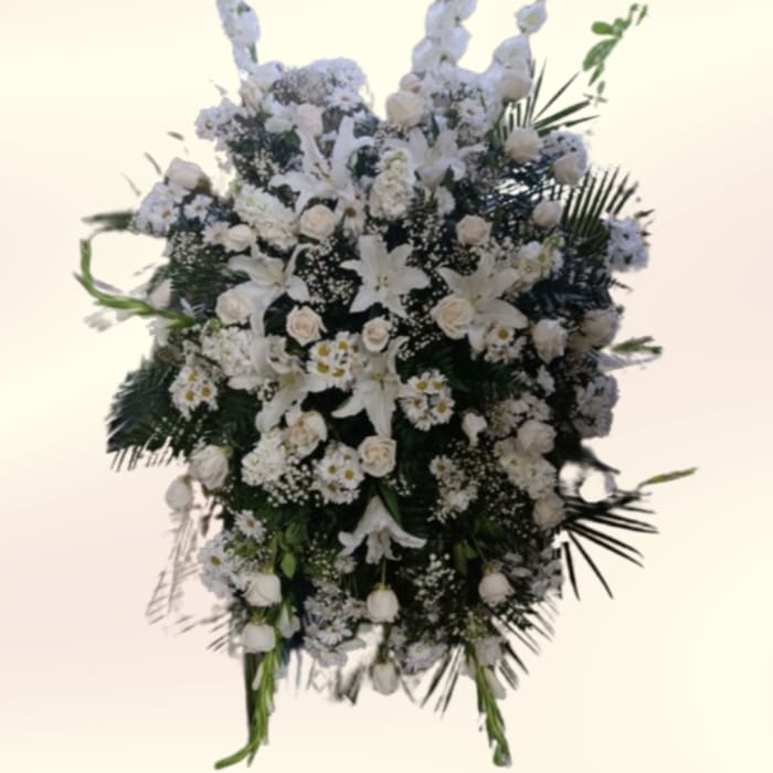 Gladiolas in White