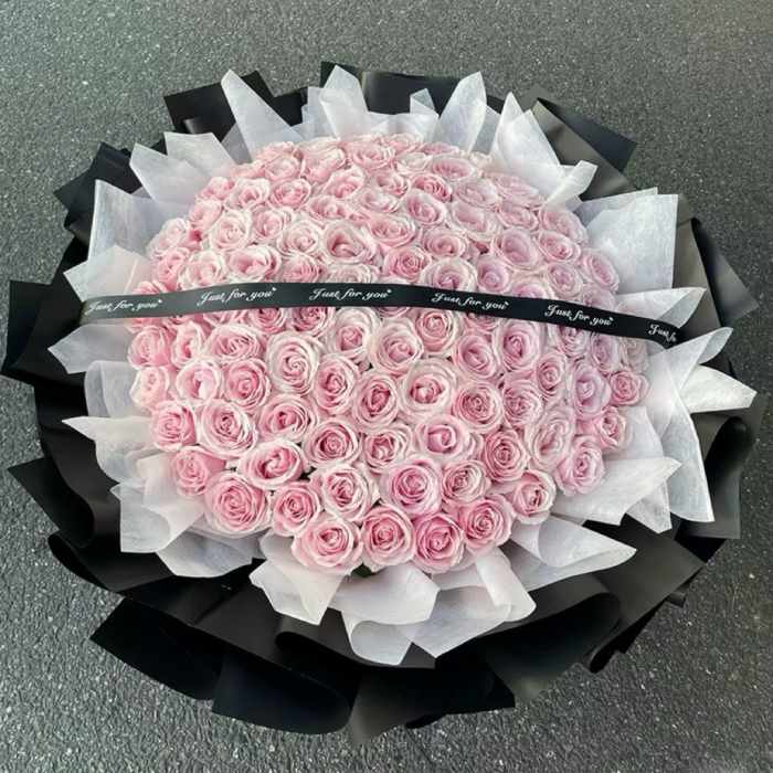 Large bouquet of pale pink roses wrapped in black and white paper