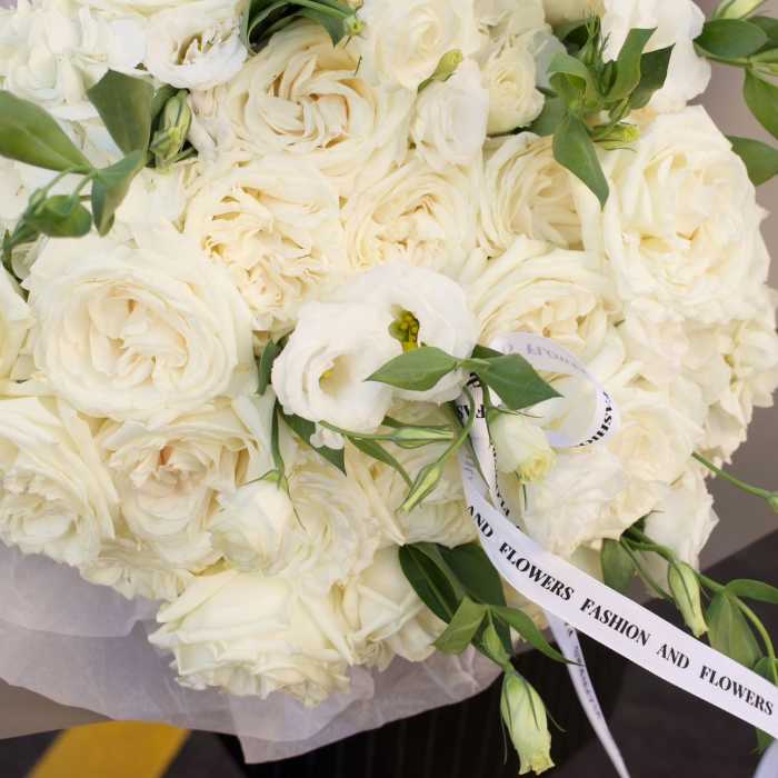 Ivory Dream