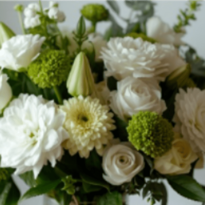Designer's Choice - Simply White