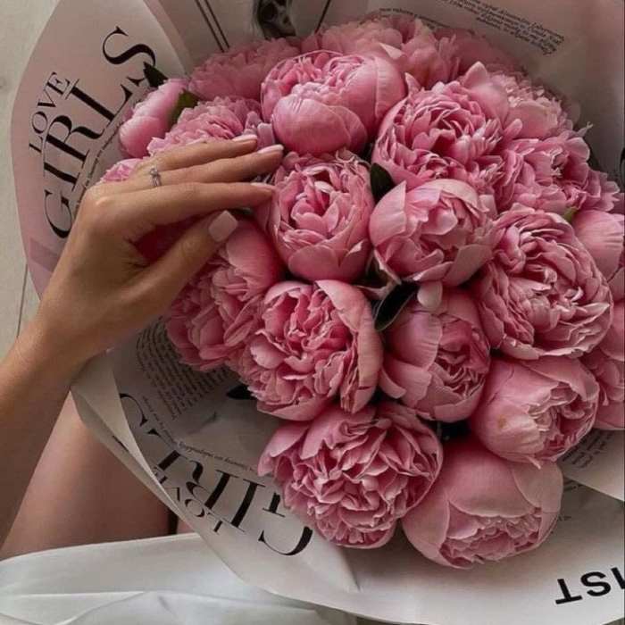 Pink peony bouquet wrapped in white paper