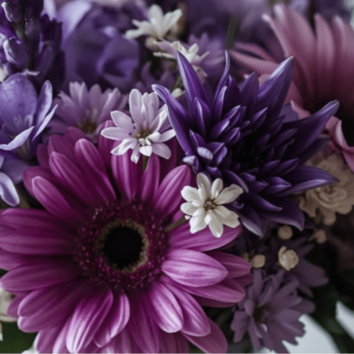 Bouquet of purple and pink daisies with small white filler flowers