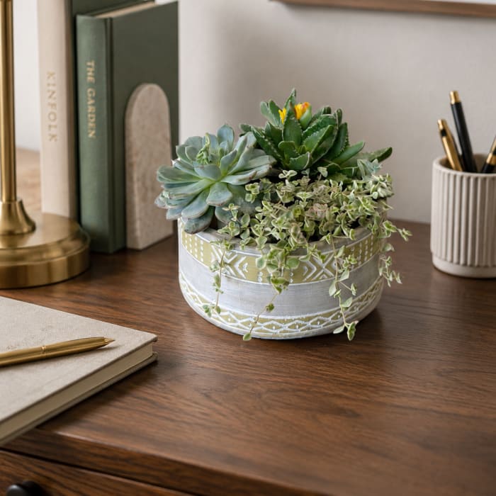 Sage & Stone Succulent Planter