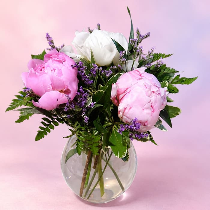 Peony Petal Dream