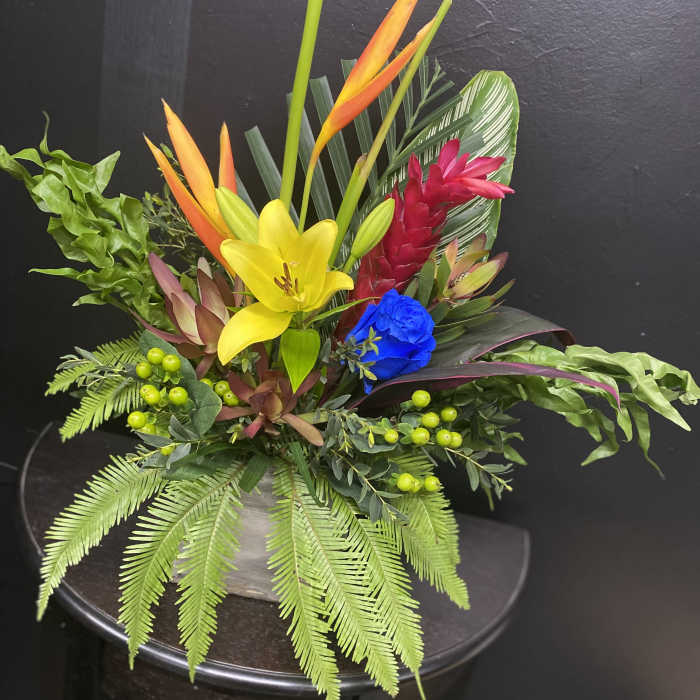 Tropical Oasis