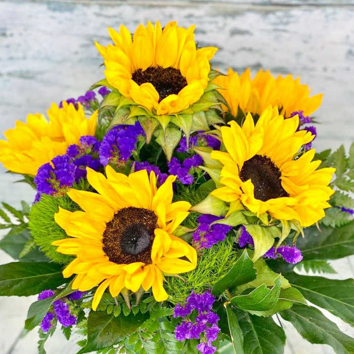 Sunflower Serenade