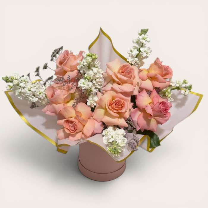 Peach Champagne Dream
