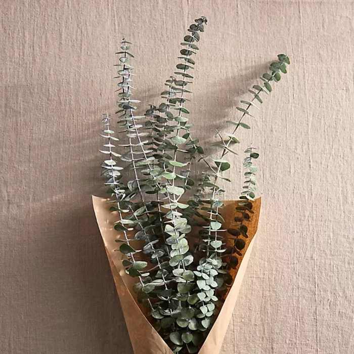 Fresh Eucalyptus Bouquet