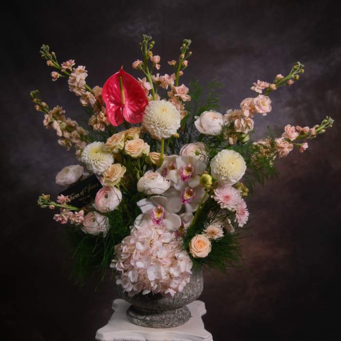 The Rose Bloom