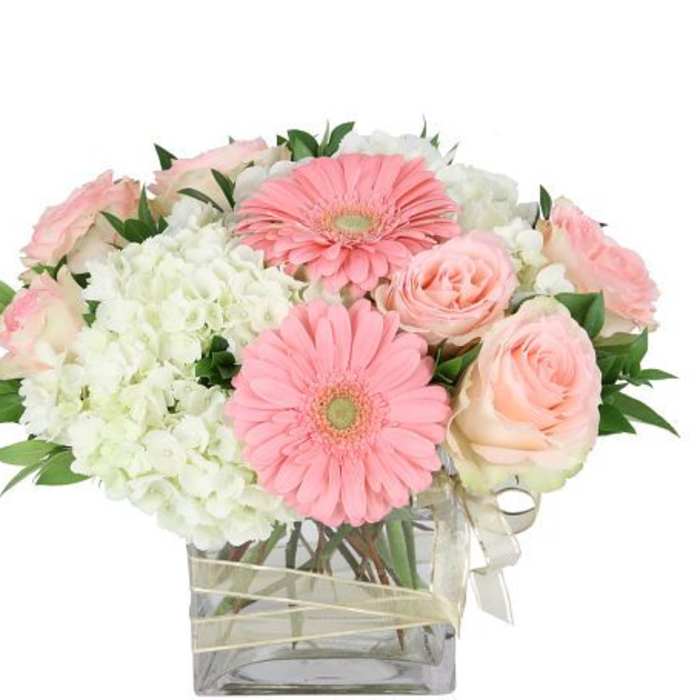 Delicate arrangement