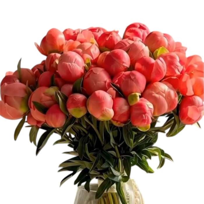 Blushing Coral Peony Bouquet