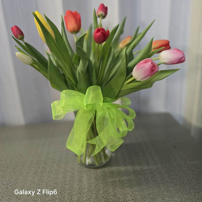 Tulips mix colors