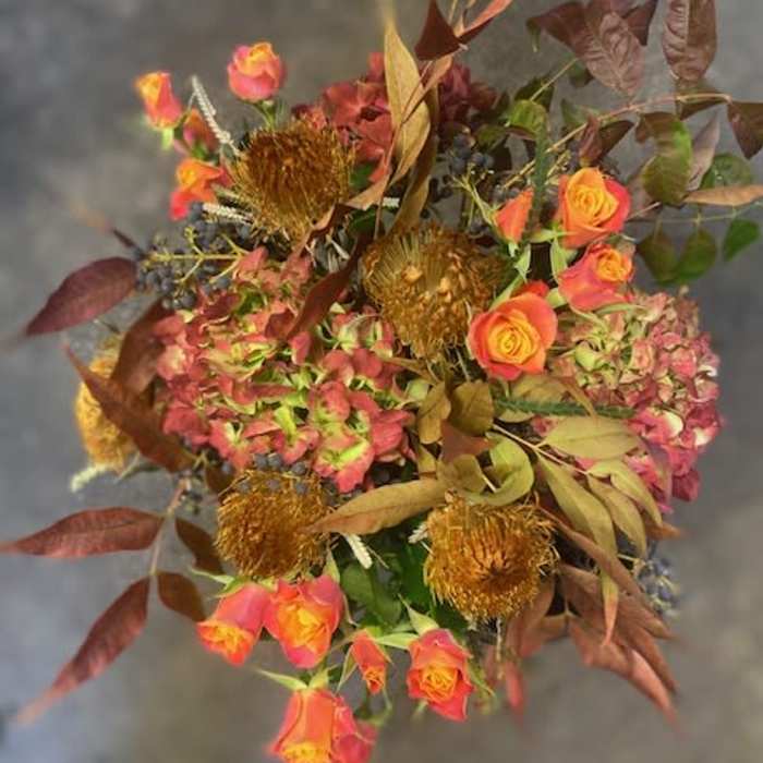 Protea