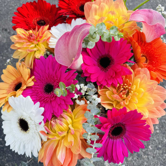 Bright mixed bouquet with gerbera daisies, calla lilies, and dahlias