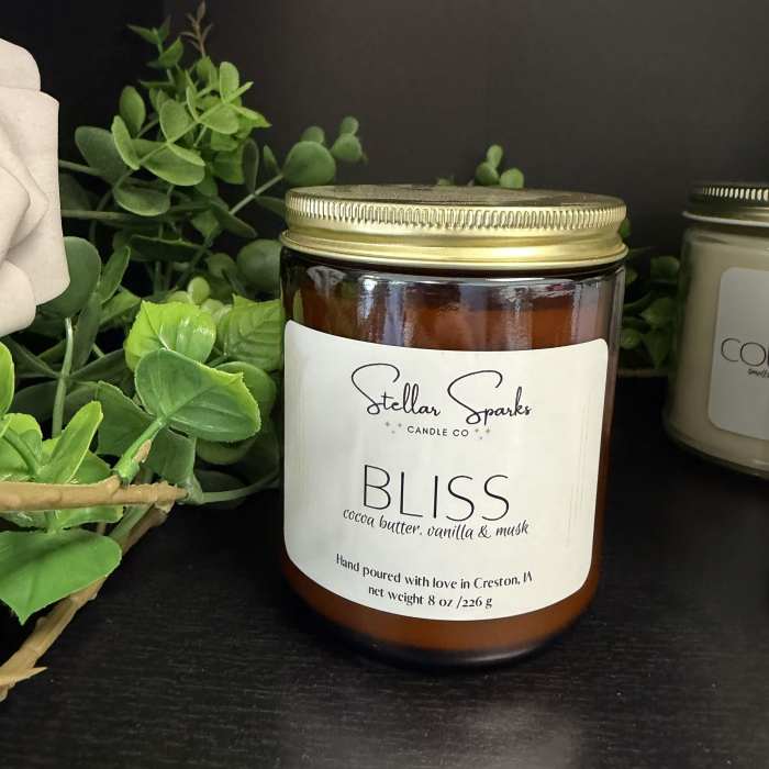 Bliss 8oz Candle