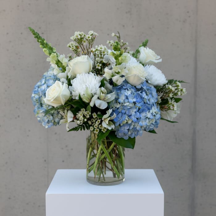 White roses and blue hydrangeas arranged in a clear glass vase