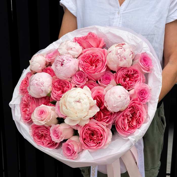 Mini Pink Dream