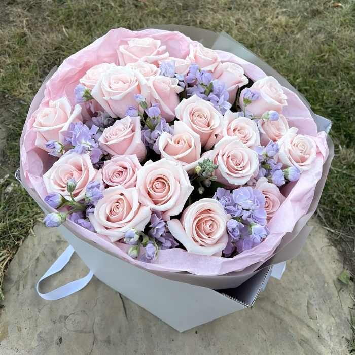Blush Whisper