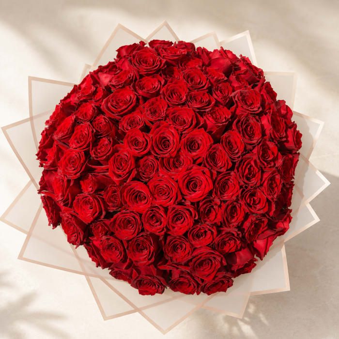 Felicitas' Grand Devotion – Red Ramo Buchón (100 Roses)
